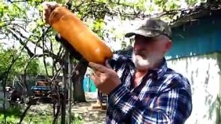 Раствор для ПОДКОРМКИ РАССАДЫ