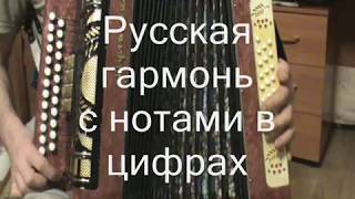 Русская гармонь с нотами в цифрах