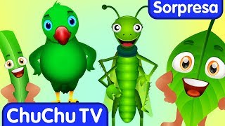 Aprende el Color VERDE con Huevo Sorpresa Gracioso & la Canción del VERDE | ChuChu TV Sorpresa