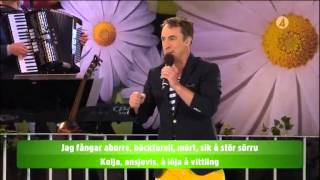 Per Andersson - På böljan den blå - Lotta på Liseberg (TV4)