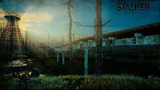 ЕЩЁ ОДИН ДЕНЬ В ЗОНЕ - Stalker Online.