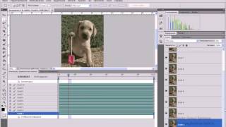 Как отредактировать анимацию в Фотошопе   Photoshop