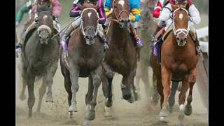 Thoroughbred Racing Is A Sport I Love.
