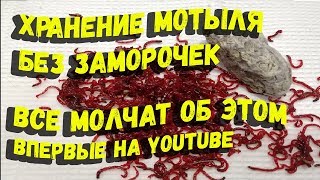 Лучший способ хранения мотыля без заморочек