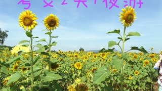 考艾 2天1夜 khao yai 2d1n