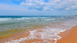 ПЛЯЖНЫЙ ПОИСК МОНЕТ И ДРАГОЦЕННОСТЕЙ | ВИТЯЗЕВО | BEACH SEARCH FOR COINS AND JEWELRY / VITYAZEVO