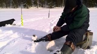 Зимняя рыбалка, Павловское водохранилище, 04 02 15 г