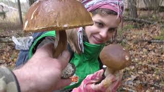 Волшебный лес Белых грибов. 27 Октября 2018. Калужская область.