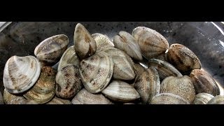 Моллюски с чесноком.