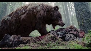 ВОЛКИ НАПАЛИ НА СТАЮ МЕДВЕДЕЙ / МУЖЧИНА УПАЛ В ВОЛЬЕР К МЕДВЕДЮ ЖЕСТЬ / РЕАЛЬНЫЕ НАПАДЕНИЯ МЕДВЕДЕЙ