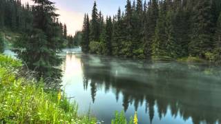 Lazar Berman - Liszt - Années de pèlerinage, Book I (excerpts)