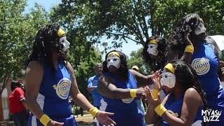 Tau Beta Sigma Probate 2019 | MyASU Buzz