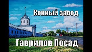 Гаврилов Посад. Конный завод. (gavrilov posad. stud farm)