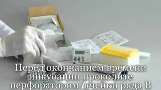 ImmunoComb 0002