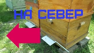 ↺Разворачиваю ульи летком НА СЕВЕР. Леток В ТЕНИ.