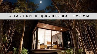 Недвижимость в Мексике. Участки в джунглях с готовыми проектами недалеко от Тулума