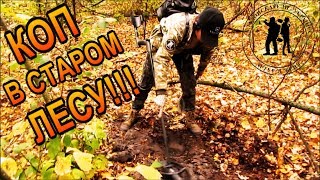 "КОП В СТАРОМ ЛЕСУ" Копаем в Черкасской области!!! Кладоискатели - Украина! КОП 2019.