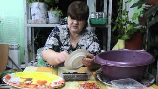 Сажаем сказочный цветок лобелию.