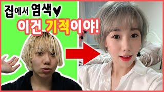 인생머리 찾았다!! 집에서 애쉬그레이로 염색했는데 엄청 이쁘게 나왔어요!! | 디바제니