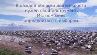 ПРОКАТ ИНСТРУМЕНТА В НОВОСИБИРСКЕ