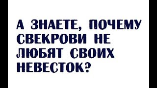 А знаете, почему свекрови не любят своих невесток? | Семейный анекдот