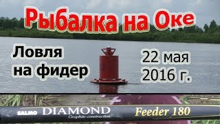 Рыбалка на Оке 2016. Ловля на фидер Salmo Diamond Feeder 180 3,9 (Рыболовный дневник®Fishing diary)