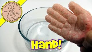 Grow A Hand, Just Place In Water - Grows 600%, Ja-Ru Toys