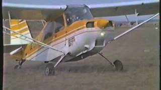 Bannerflug Training LOAN (SFCA 1984)