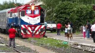 Tren de la marcha mundial por la paz y la no violencia.