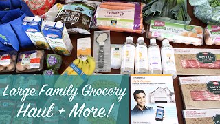 Large Family Whole Foods Haul | Meijer Haul | Jewel Haul PLUS Beauty Products and Household Items