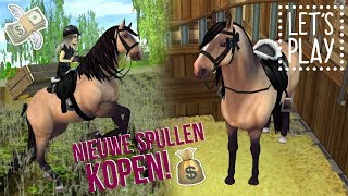 Shoppen voor mijn NIEUWE PAARD & nieuwe race! - Update | Star Stable Online | Daphneee