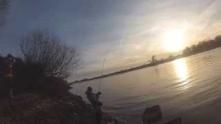 Большой судак на нижней Москве-реке. Big zander on the Moscow river