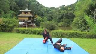 Treino Externo de Hapkido Jik Bu Kwan no Kinkakuji do Brasil