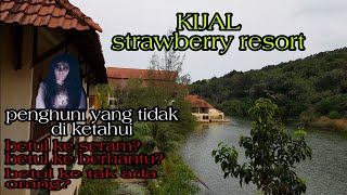 Kijal strawberry resort terenganu