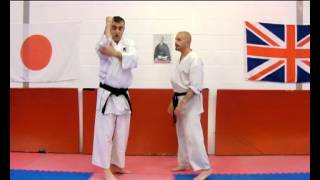 Heian Nidan Bunkai Strategies 2012 wk20 Martial Arts Pulse #1
