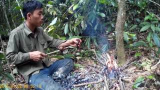 Bắn chim cu xanh nướng ăn ngay trong rừng (Shoot blue pigeons, grill in the woods)