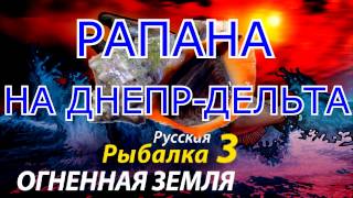 Русская рыбалка 3 Рапана на Днепр дельта