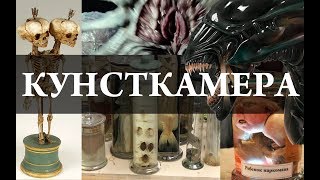 Кунсткамера. ЕГЭ (почему бы и нет?). Химия – Просто