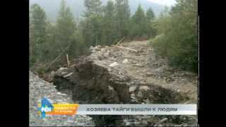 Медведи вышли к детскому лагерю в Иркутской области