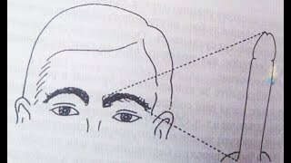 НЕ ЧИТАЙТЕ, ДЕТИ, КНИГ ПО ФИЗИОГНОМИКЕ!