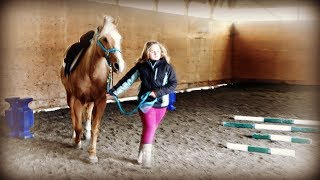 OUR NEW HORSE IS LAME! Day 102 (04/12/19)