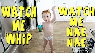 TWO YEAR OLD KID WATCH ME WHIP WATCH ME NAE NAE