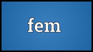 Fem Meaning