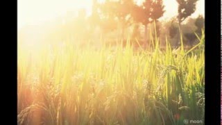 명상은 힐링입니다. 사랑입니다. ♡~