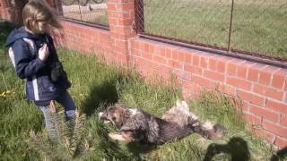 Заповедник Ростовский 3