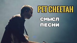 Pet Cheetah - ЗНАЧЕНИЕ СМЫСЛ ПЕСНИ (TWENTY ONE PILOTS) О чем поется в песне