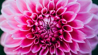 Enhance Self Love Frequency | 528Hz Miracle Healing | Meditation Harmony | Positive Energy Cleanse
