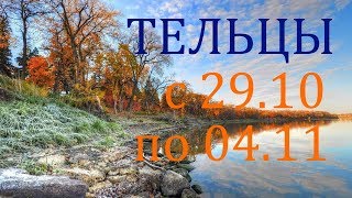 ТЕЛЬЦЫ. ТАРО-ПРОГНОЗ на НЕДЕЛЮ с 29.10. по 04.11. 2018г.