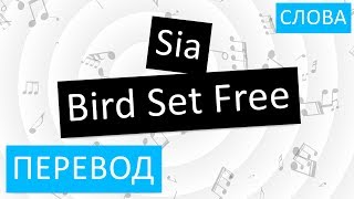Sia - Bird Set Free Перевод песни на русский Текст Слова