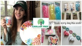 DT WEEK |  DOLLAR TREE HAUL | 1 of 7